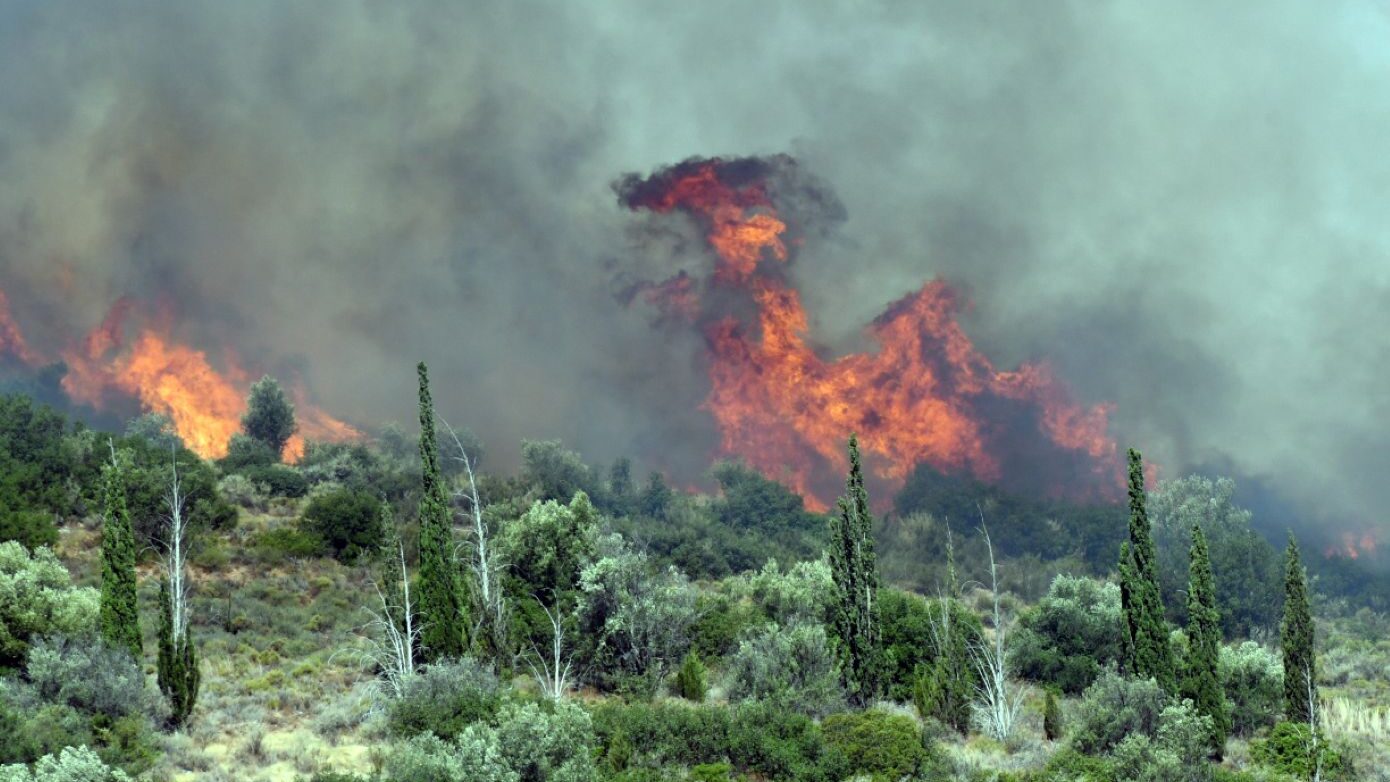 Φωτιά τώρα στην περιοχή Κοτύλη Κιλκίς