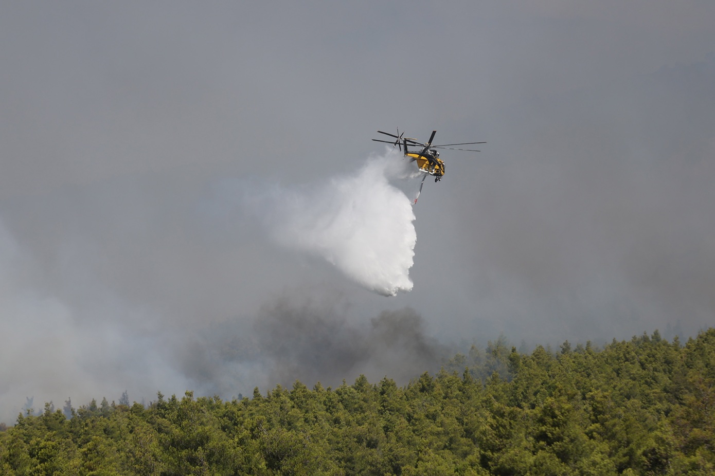 Πυρκαγιά στη Δυτική Αττική: Σχεδόν 500 πυροσβέστες στη μάχη με τις φλόγες, στη δύναμη Γάλλοι και Ρουμάνοι, νέα μηνύματα 112