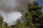 Φωτιά στη Δυτική Αττική: Καίγονται σπίτια στο Κρύο Πηγάδι, κρίσιμη μάχη για τα Βίλια – Μπήκαν στην κατάσβεση τα Canadair