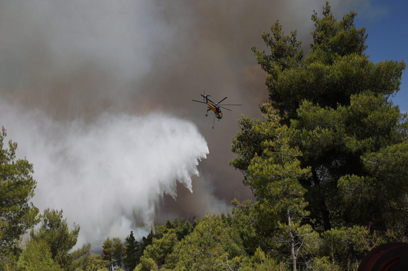 Φωτιά στη Δυτική Αττική: Καίγονται σπίτια στο Κρύο Πηγάδι, κρίσιμη μάχη για τα Βίλια – Μπήκαν στην κατάσβεση τα Canadair