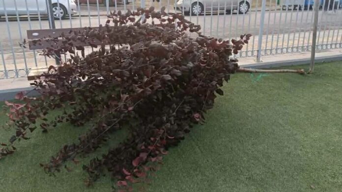 Ο Δήμος Τρίπολης καταγγέλλει βανδαλισμό στην παιδική χαρά της Αγ. Βαρβάρας