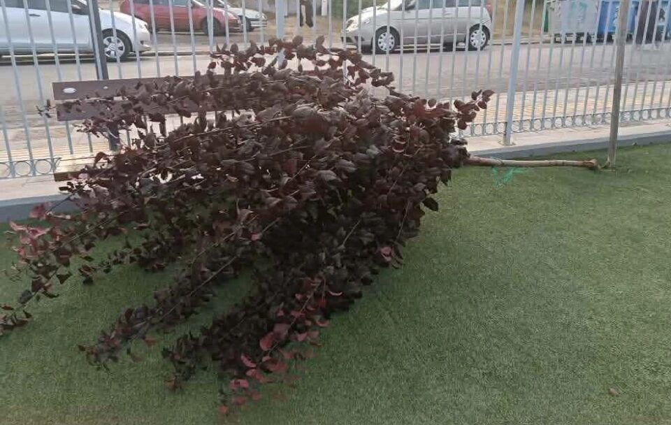 Ο Δήμος Τρίπολης καταγγέλλει βανδαλισμό στην παιδική χαρά της Αγ. Βαρβάρας