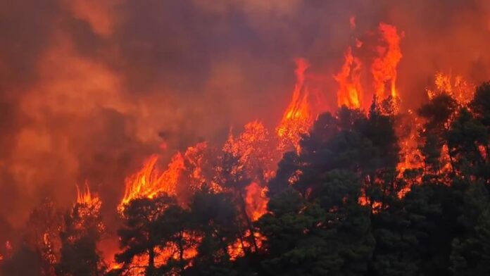 Φωτιά στην Αγία Παρασκευή: Φλόγες δεκάδων μέτρων, υποχωρούν οι πυροσβέστες