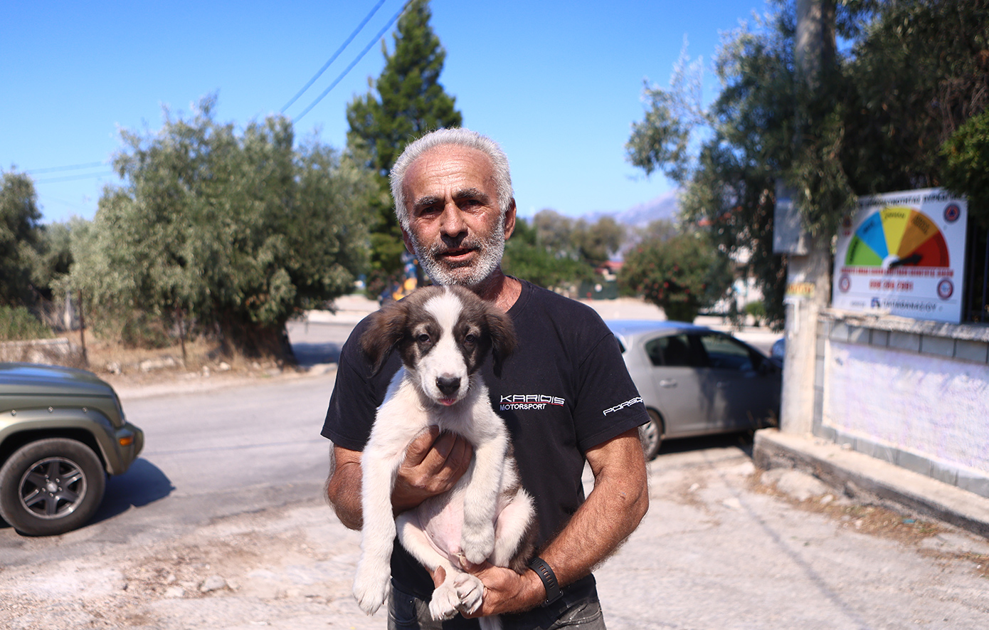 Μπρούνο σώθηκε από τον Μάρκο στο Πόρτο Γερμενό: «Ακόμα χτυπάει δυνατά η καρδιά του»
