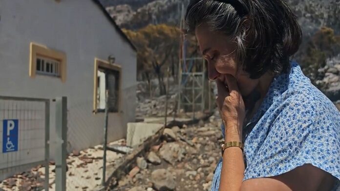 Πυρόπληκτοι στο Πόρτο Γερμενό: «Ένα πιατάκι μάς έμεινε, αυτό το δάσος δεν θα ζήσουμε να το ξαναδούμε»