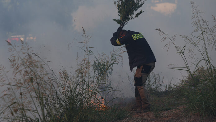 Φωτιά στην Κω οριοθετήθηκε μετά την ολονύχτια μάχη – Σε επιφυλακή η Πυροσβεστική