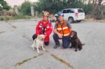 Η Ήρα του Ελληνικού Ερυθρού Σταυρού στην ελίτ των διασωστικών σκύλων