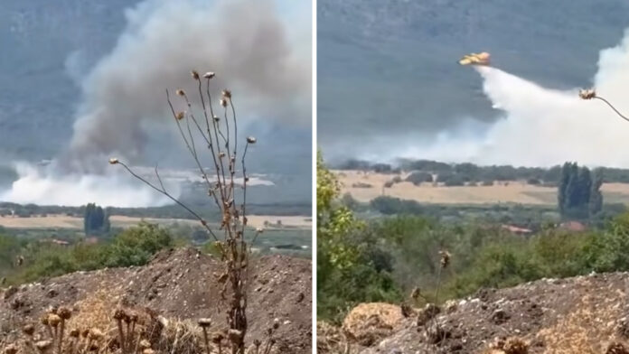 Κατερίνη: Οριοθετήθηκε η φωτιά που ξέσπασε στη Βροντού