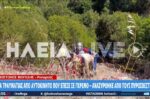 Ανδρίτσαινα: Αυτοκίνητο έπεσε σε γκρεμό 30 μέτρων – Επιχείρηση για τον απεγκλωβισμό 32χρονης