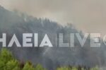 Ανεμοστρόβιλος σχηματίστηκε μέσα στις φλόγες στη φωτιά στο Μουζάκι