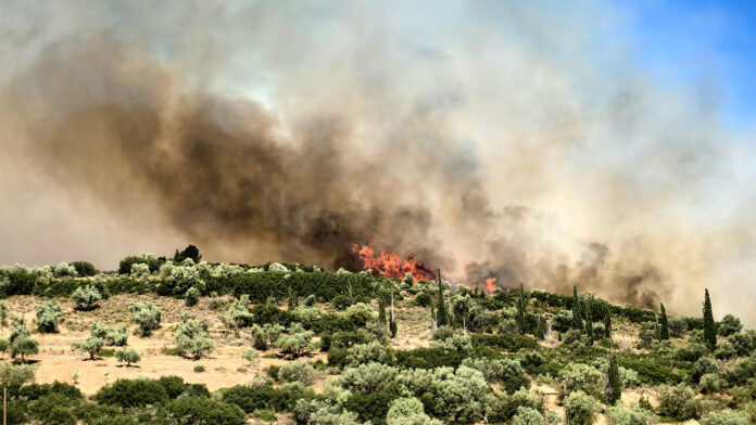 Έλεγχοι για παραβάσεις της αντιπυρικής νομοθεσίας – 33 συλλήψεις για εμπρησμό μέσα σε πέντε ημέρες