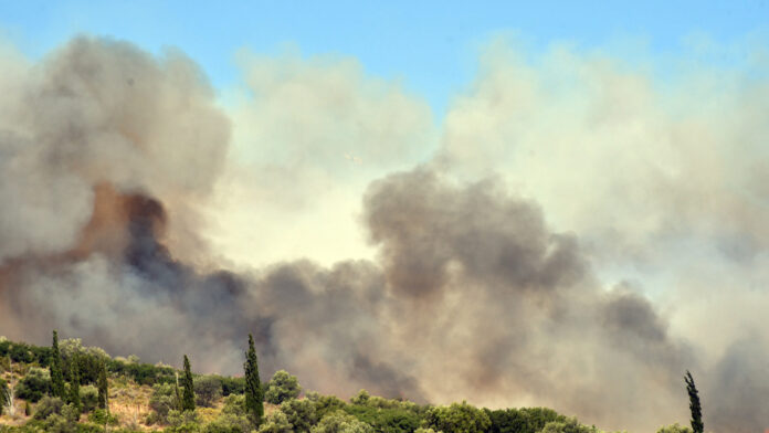 Πυρκαγιά στο Κομπότι Άρτας υπό έλεγχο – Παραμένουν οι πυροσβεστικές δυνάμεις