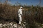 Ιός του Δυτικού Νείλου: Ενημέρωση και μέτρα πρόληψης από την Περιφέρεια Δυτικής Ελλάδας