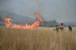 Φωτιά στο Νέο Μοναστήρι Δομοκού: Επιχειρούν εναέρια μέσα
