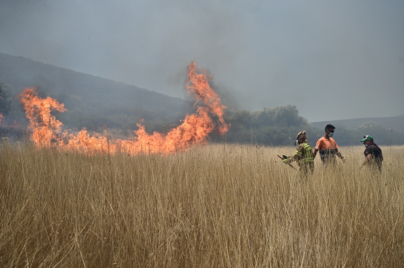 Φωτιά στο Νέο Μοναστήρι Δομοκού: Επιχειρούν εναέρια μέσα