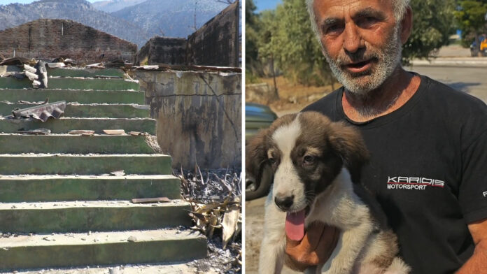 Απεγκλωβισμός σκύλου από καμένο σπίτι στις πυρόπληκτες περιοχές: Αγώνας δρόμου για τα ζώα