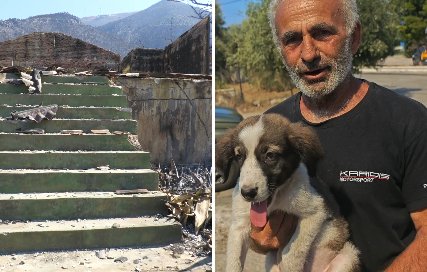 Απεγκλωβισμός σκύλου από καμένο σπίτι στις πυρόπληκτες περιοχές: Αγώνας δρόμου για τα ζώα