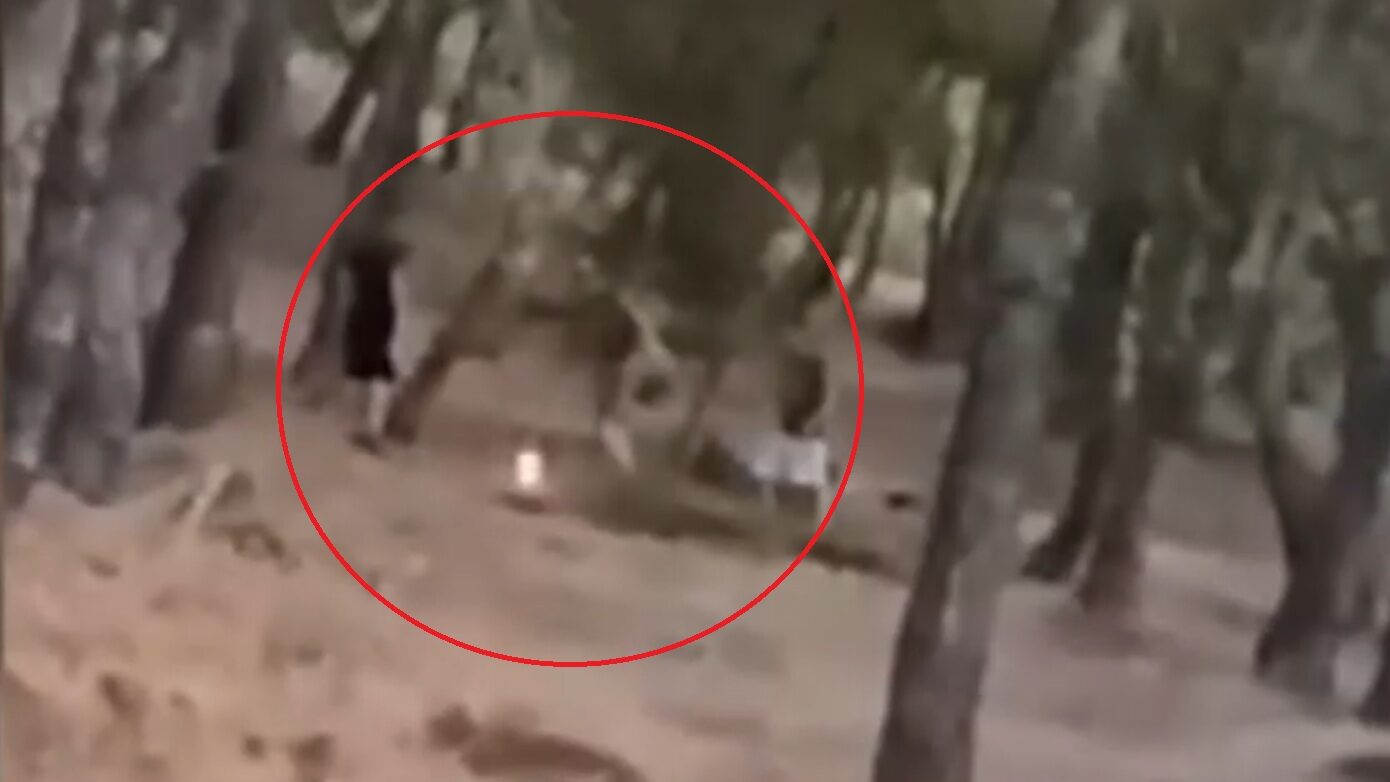 Ανήλικοι στα Βριλήσσια βάζουν φωτιά και προσπαθούν να τη σβήσουν: βίντεο