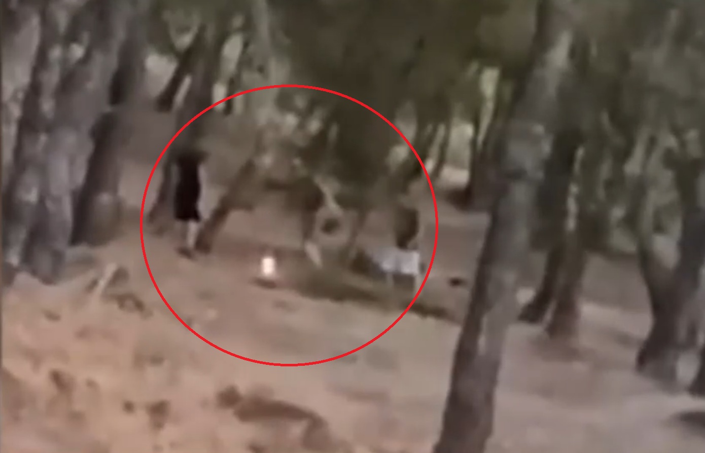 Ανήλικοι στα Βριλήσσια βάζουν φωτιά και προσπαθούν να τη σβήσουν: βίντεο