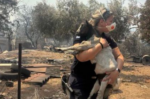 Η ΕΛ.ΑΣ. υπενθυμίζει ότι κάθε ζωή μετράει και στις φωτιές