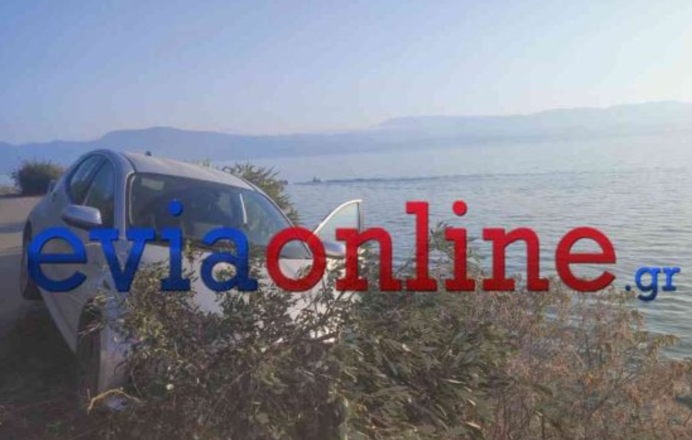 Τροχαίο στην Εύβοια: Αυτοκίνητο εξετράπη της πορείας του και κατέληξε δίπλα σε γκρεμό – Ο 22χρονος οδηγός έπεσε από ύψος 15 μέτρων