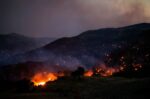 Αποζημιώσεις για τις πυρόπληκτες επιχειρήσεις στον δήμο Αγίου Βασιλείου: ξεκίνησαν οι αιτήσεις