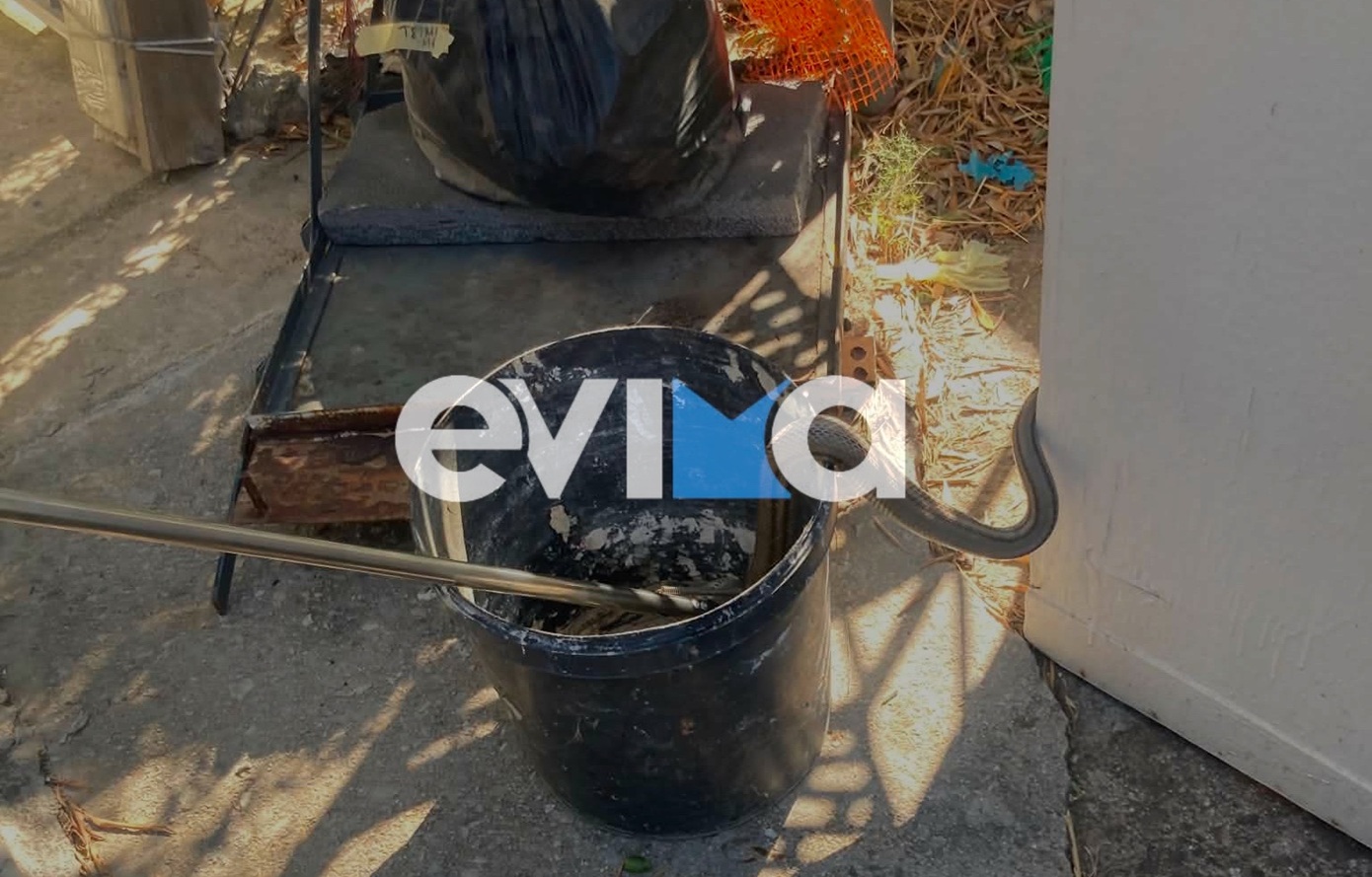 Φίδι δύο μέτρων εισέβαλε σε αποθήκη κατοικίας στην Εύβοια