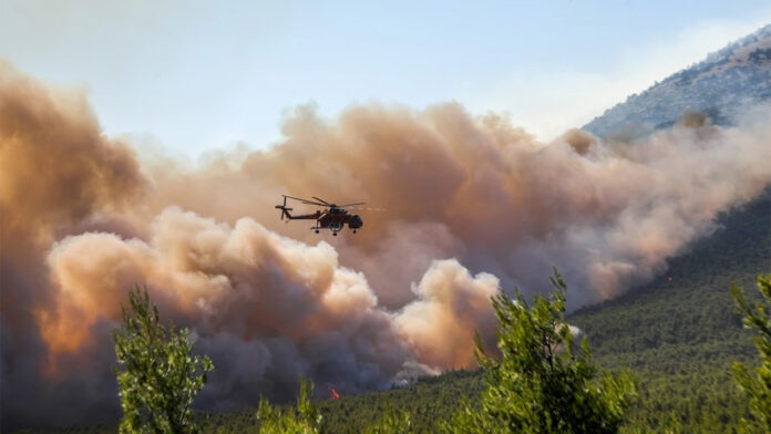 Αυτοψίες των ειδικών κλιμακίων στα καμένα κτίρια στο Σκάλωμα Φωκίδας ξεκίνησαν με ταχείς ρυθμούς