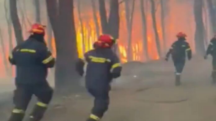 Πυροσβέστες ορμούν με αυτοθυσία μέσα στη φωτιά σε βίντεο