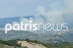 Φωτιά στο Μουζάκι Ηλείας κοντά σε σπίτια – Μεγάλη δύναμη της πυροσβεστικής στο σημείο
