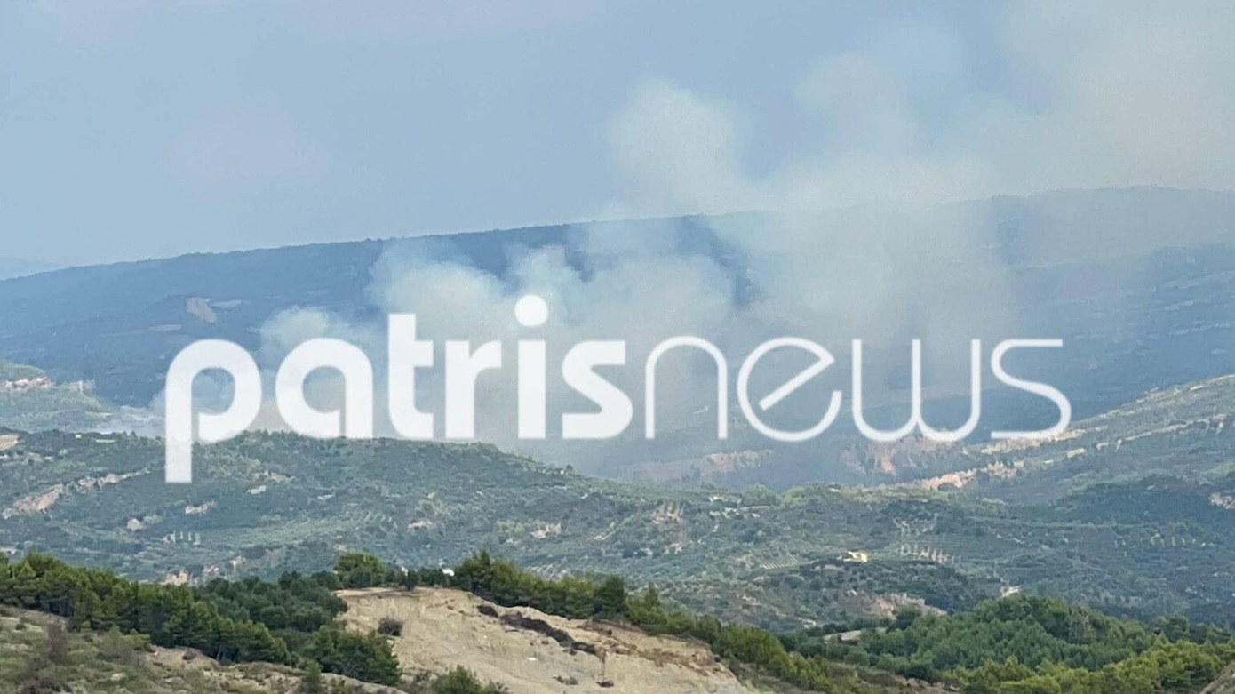 Φωτιά στο Μουζάκι Ηλείας κοντά σε σπίτια – Μεγάλη δύναμη της πυροσβεστικής στο σημείο