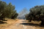 Φωτιά σε δάσος στο Νευροκόπι της Δράμας, επιχειρούν τέσσερα εναέρια