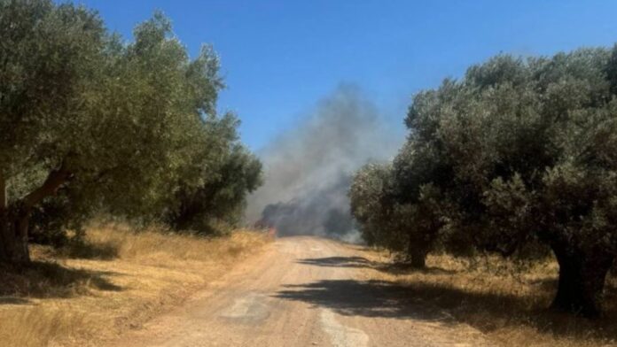 Φωτιά σε δάσος στο Νευροκόπι της Δράμας, επιχειρούν τέσσερα εναέρια