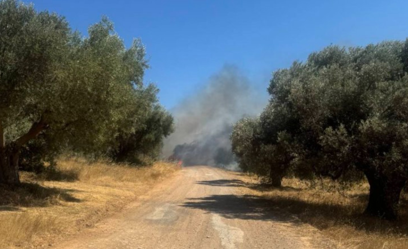 Φωτιά σε δάσος στο Νευροκόπι της Δράμας, επιχειρούν τέσσερα εναέρια