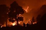 Πυροσβεστική στις Νεραντζιές Αιγιάλειας: Νέο μήνυμα 112 για εκκένωση του Νέου Ερινεού