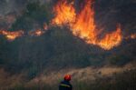 Φωτιά στην Περαχώρα Κορινθίας, στην περιοχή Βαμβακές – Επιχειρούν 8 εναέρια μέσα