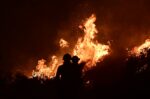 Αττική και Βοιωτία: Πάνω από 130.000 στρέμματα καμένα