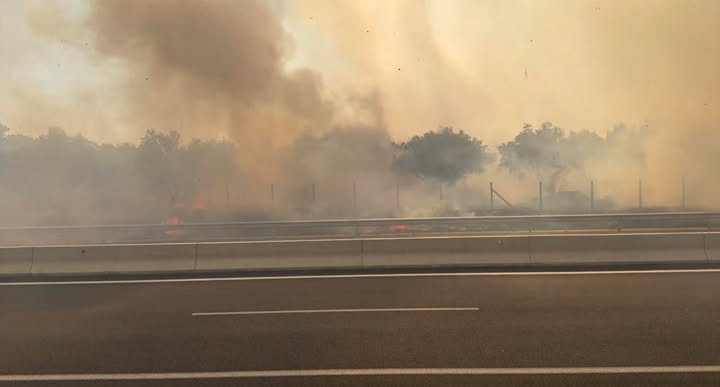 Φωτιά στο Τραγανό Ηλείας – Έκλεισε τμήμα της Ολυμπίας Οδού