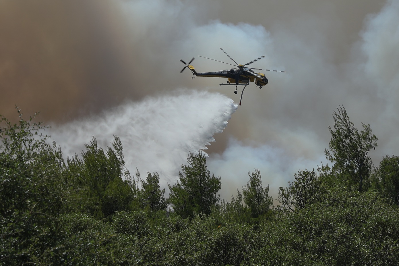 Φωτιά στη Δυτική Αττική: Συνεχίζονται τα δύο μεγάλα ενεργά μέτωπα που απασχολούν τις πυροσβεστικές δυνάμεις