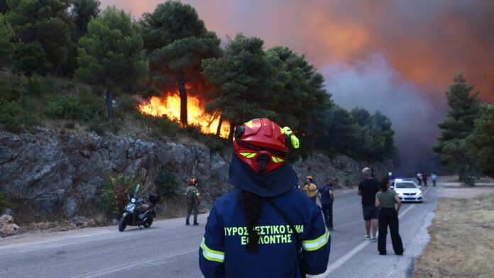 Ολονύκτιες επίγειες επιχειρήσεις σε Αττικοβοιωτία και Σκάλωμα Φωκίδας για φωτιές, σύμφωνα με τον Αρτοποιό