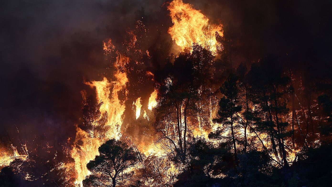 Χιλιάδες στρέμματα στάχτη, δεκάδες σπίτια καμένα και συνεχείς εκκενώσεις – Νύχτα αγωνίας σε Πόρτο Γερμενό και Φωκίδα