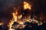 Χιλιάδες στρέμματα στάχτη, δεκάδες σπίτια καμένα και συνεχείς εκκενώσεις – Νύχτα αγωνίας σε Πόρτο Γερμενό και Φωκίδα