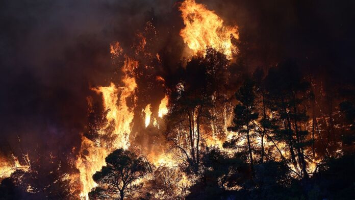 Χιλιάδες στρέμματα στάχτη, δεκάδες σπίτια καμένα και συνεχείς εκκενώσεις – Νύχτα αγωνίας σε Πόρτο Γερμενό και Φωκίδα