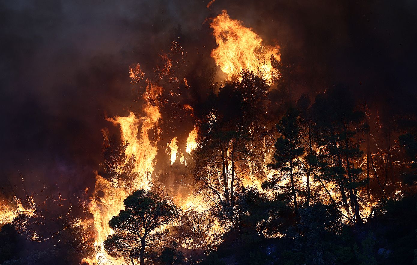 Χιλιάδες στρέμματα στάχτη, δεκάδες σπίτια καμένα και συνεχείς εκκενώσεις – Νύχτα αγωνίας σε Πόρτο Γερμενό και Φωκίδα