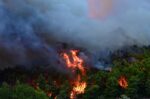 Φωτιά στο Φίχτι Αργολίδας από αγροτικές εργασίες – 11 συλλήψεις σε Ηλεία, Σέρρες, Αττική και Λέσβο