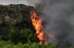 Η ΠΟΓΕΔΥ απαντά στις επικρίσεις για το Antinero: «Όχι άλλο κάρβουνο και υποκρισία»