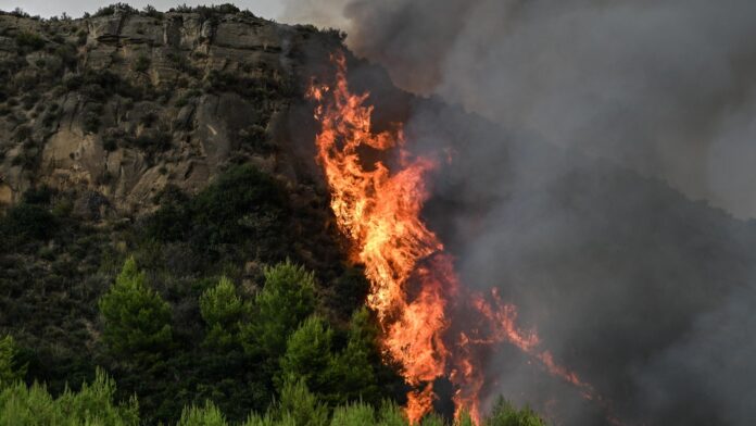Η ΠΟΓΕΔΥ απαντά στις επικρίσεις για το Antinero: «Όχι άλλο κάρβουνο και υποκρισία»