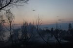 Φωτιά στη Σίβηρη Χαλκιδικής: Η εικόνα στην περιοχή ανήμερα του Δεκαπενταύγουστου