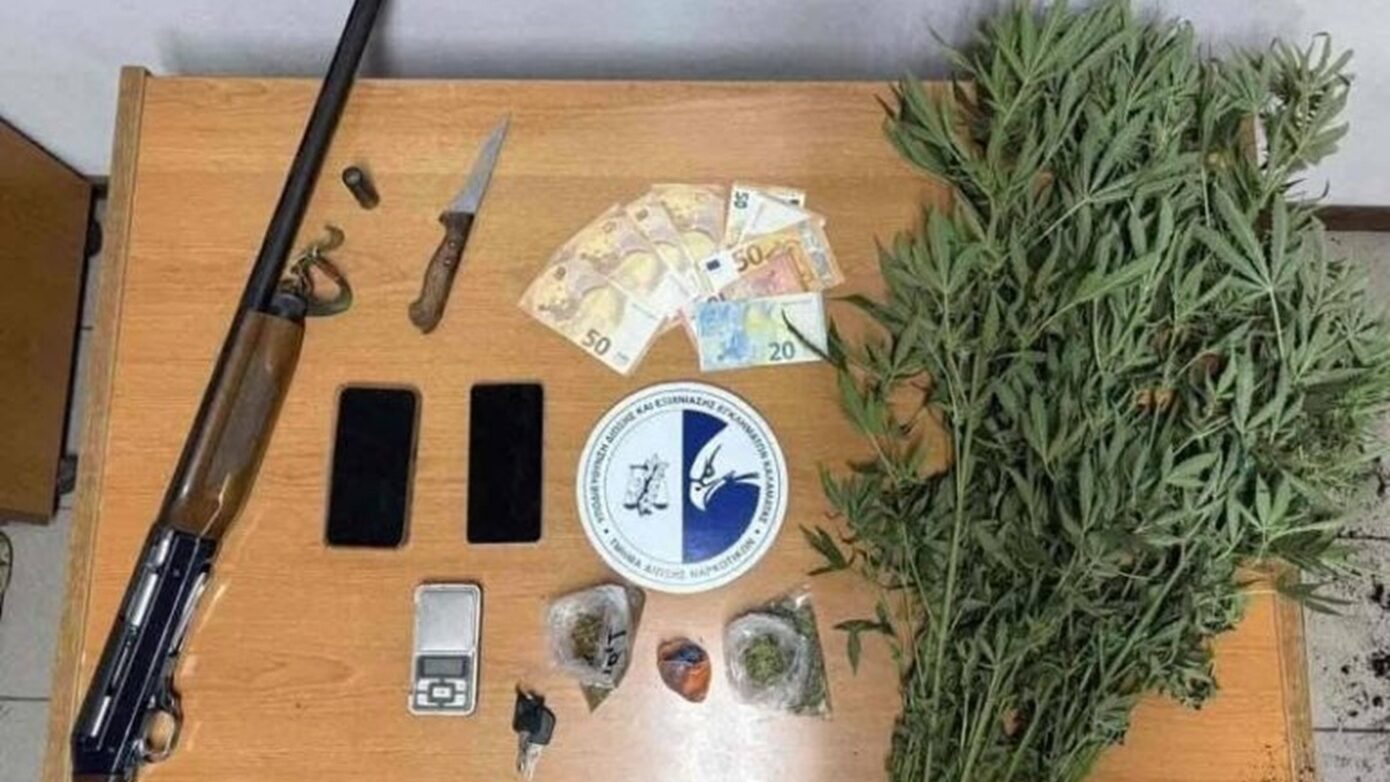 Εντοπίστηκε φυτεία με 267 δενδρύλλια κάνναβης στη Μεσσηνία – Τρεις συλλήψεις