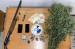 Εντοπίστηκε φυτεία με 267 δενδρύλλια κάνναβης στη Μεσσηνία – Τρεις συλλήψεις